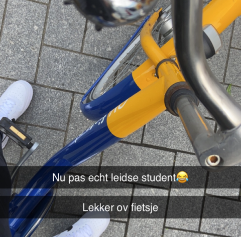 Student Maimonides